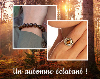 Un automne éclatant !